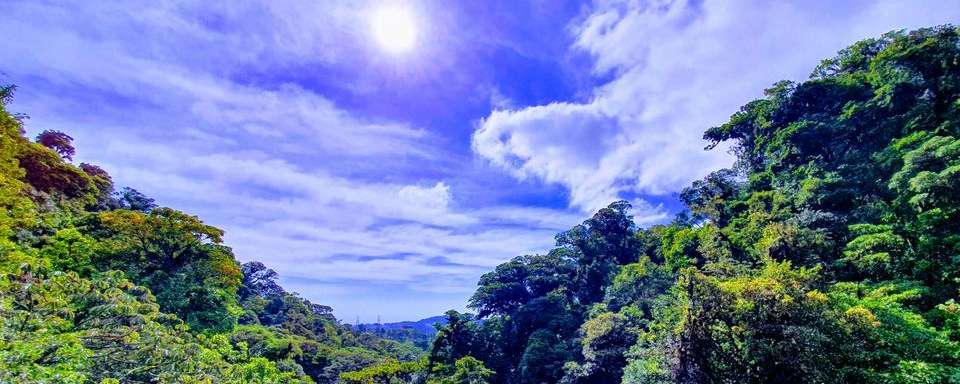 Costa Rica vakantie ga op avontuur in het land van la Pura Vida!